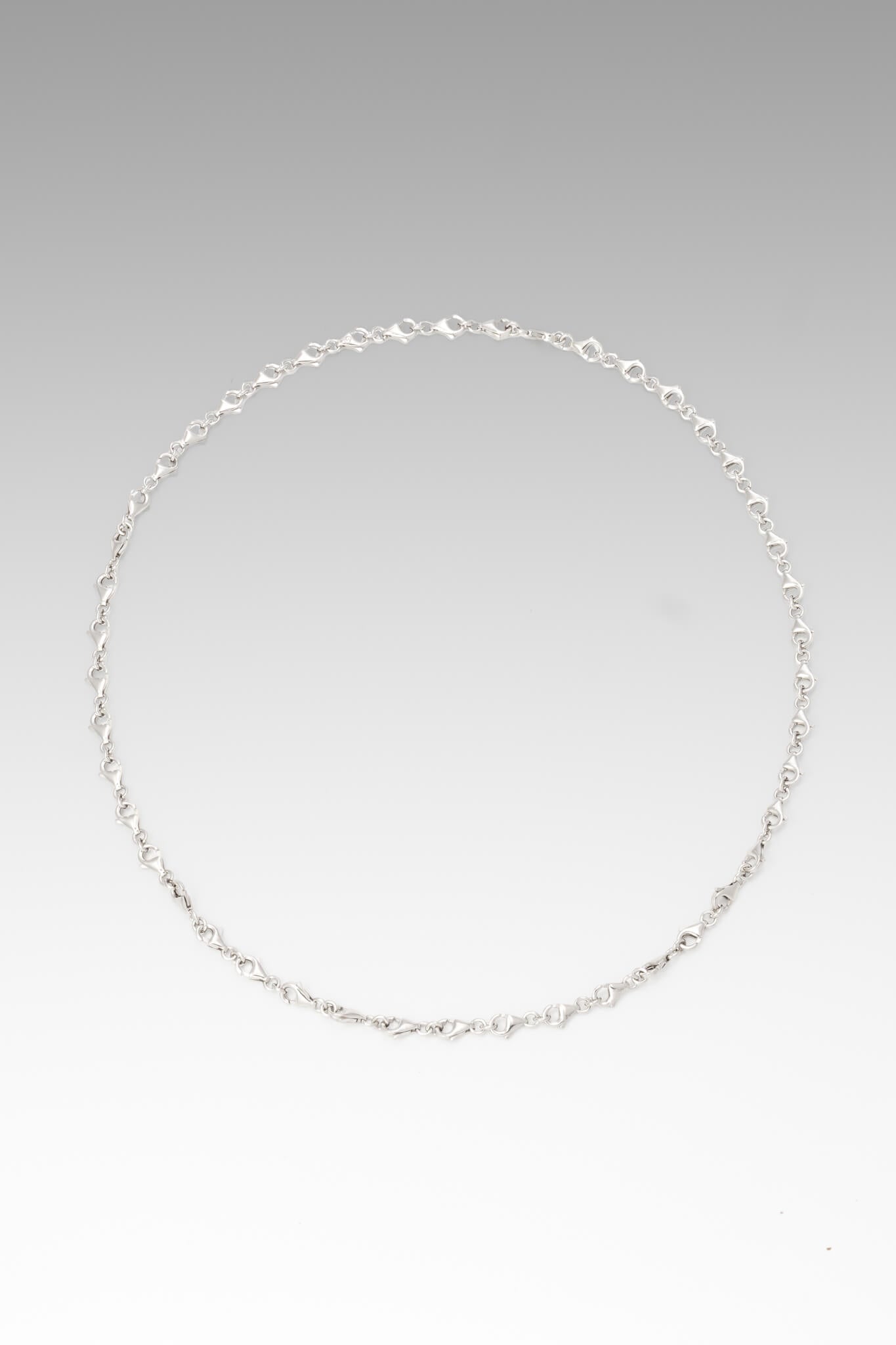 B213_Clasp Necklace - Silver_L_01